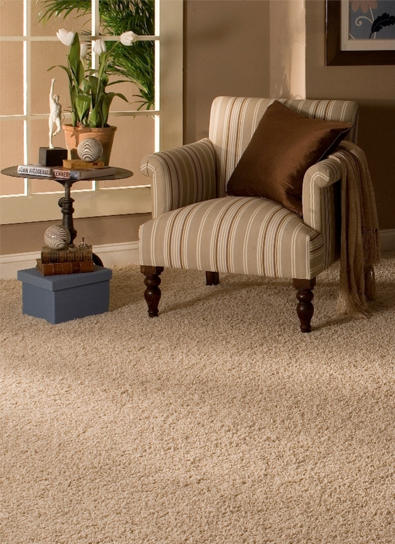 Carpet - TileCraft, Inc.